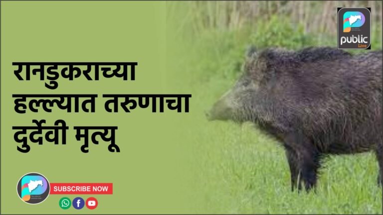 रानडुकराच्या हल्ल्यात तरुणाचा दुर्देवी मृत्यू