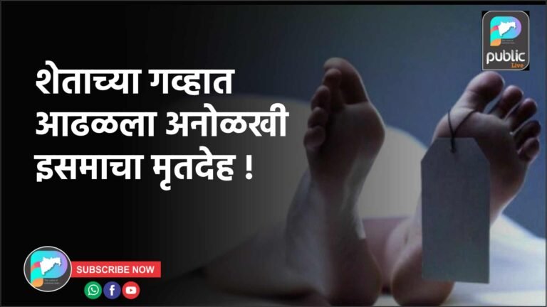 शेताच्या गव्हात आढळला अनोळखी इसमाचा मृतदेह !