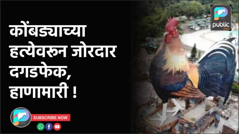 कोंबड्याच्या हत्येवरून जोरदार दगडफेक, हाणामारी !