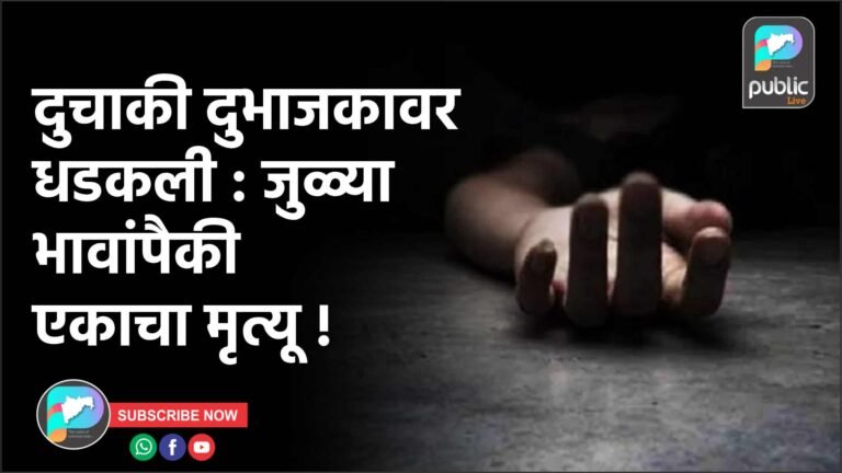 दुचाकी दुभाजकावर धडकली : जुळ्या भावांपैकी एकाचा मृत्यू !