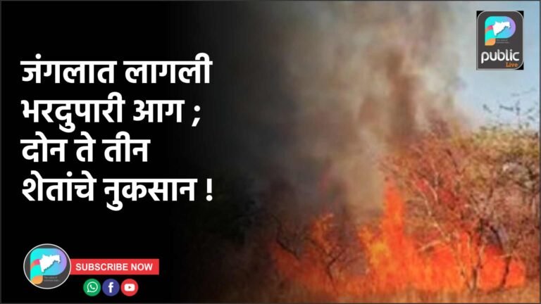 जंगलात लागली भरदुपारी आग ; दोन ते तीन शेतांचे नुकसान !
