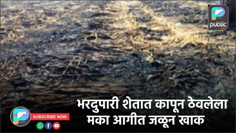 भरदुपारी शेतात कापून ठेवलेला मका आगीत जळून खाक