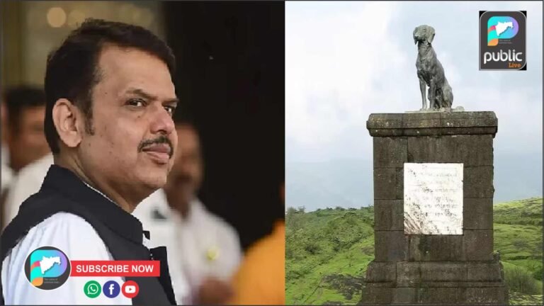 कुत्र्याच्या समाधीवरून वाद पेटला अन मुख्यमंत्री फडणवीसांनी घेतला निर्णय !