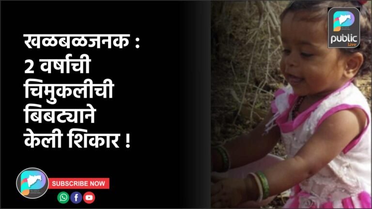 खळबळजनक : २ वर्षाची चिमुकलीची बिबट्याने केली शिकार !
