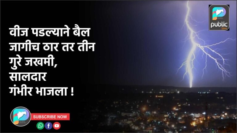 वीज पडल्याने बैल जागीच ठार तर तीन गुरे जखमी, सालदार गंभीर भाजला !
