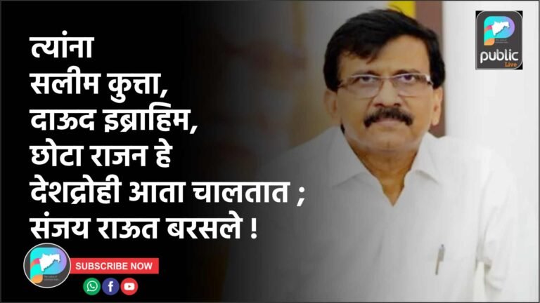 त्यांना सलीम कुत्ता, दाऊद इब्राहिम, छोटा राजन हे देशद्रोही आता चालतात ; संजय राऊत बरसले !