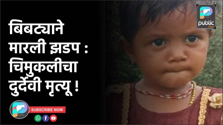 बिबट्याने मारली झडप : चिमुकलीचा दुर्देवी मृत्यू !
