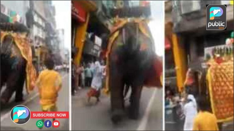 अहमदाबादमध्ये जगन्नाथ यात्रेत डीजेमुळे ३ हत्ती नियंत्रणाबाहेर ; गोंधळात ४ जण जखमी