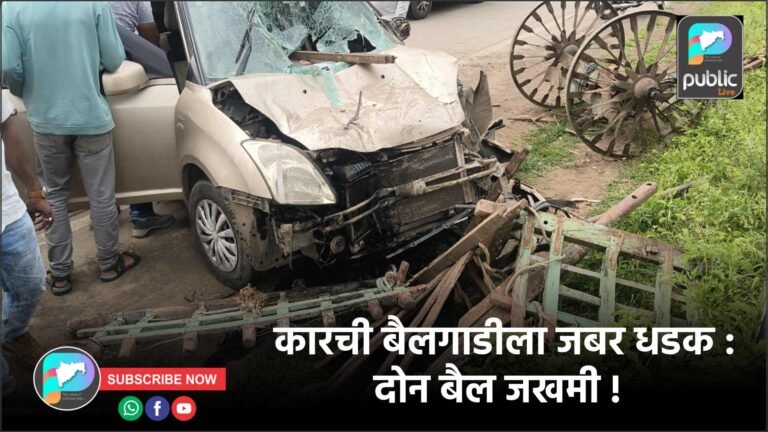 कारची बैलगाडीला जबर धडक : दोन बैल जखमी !