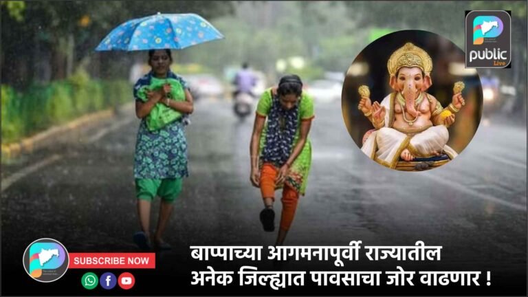 बाप्पाच्या आगमनापूर्वी राज्यातील अनेक जिल्ह्यात पावसाचा जोर वाढणार !