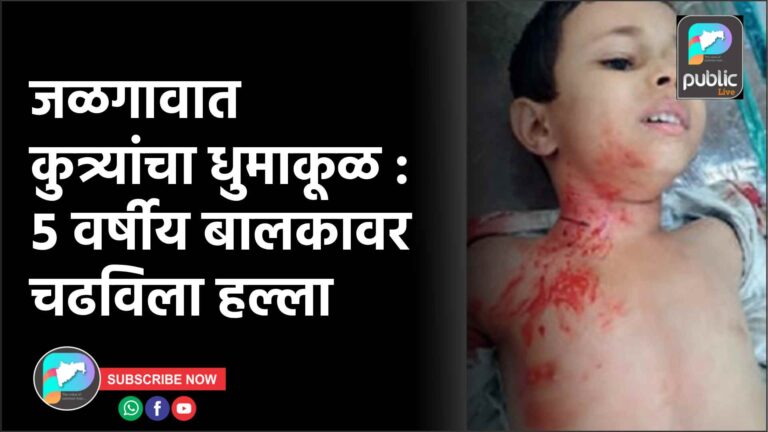 जळगावात कुत्र्यांचा धुमाकूळ : ५ वर्षीय बालकावर चढविला हल्ला