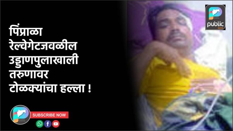 पिंप्राळा रेल्वेगेटजवळील उड्डाणपुलाखाली तरुणावर टोळक्यांचा हल्ला !