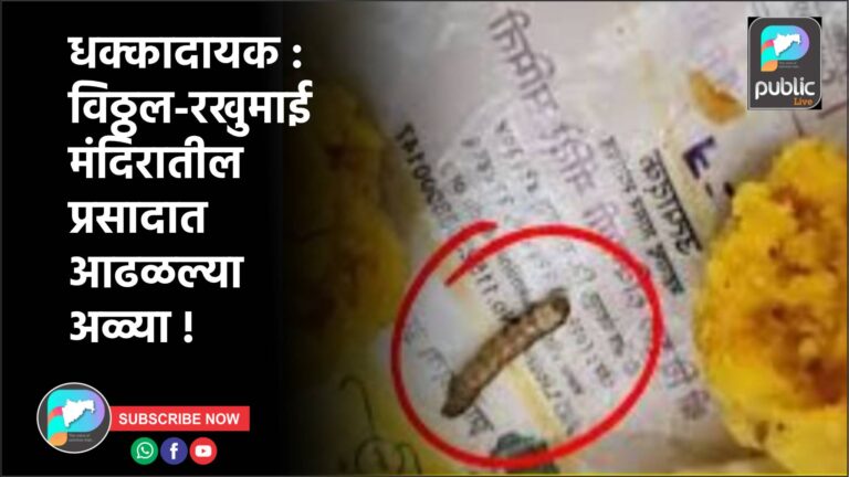 धक्कादायक : विठ्ठल-रखुमाई मंदिरातील प्रसादात आढळल्या अळ्या !