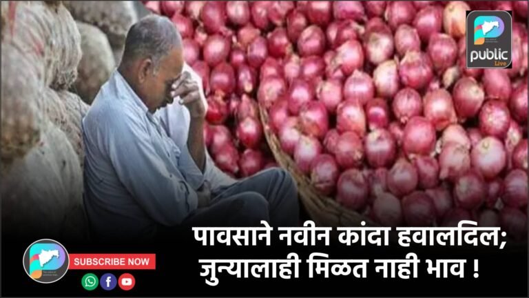 पावसाने नवीन कांदा हवालदिल; जुन्यालाही मिळत नाही भाव !