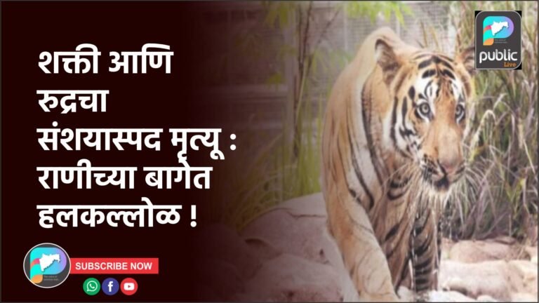 शक्ती आणि रुद्रचा संशयास्पद मृत्यू : राणीच्या बागेत हलकल्लोळ !