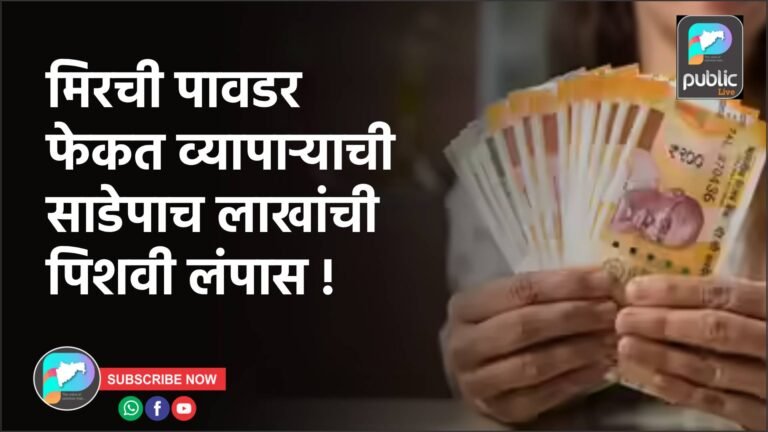 मिरची पावडर फेकत व्यापाऱ्याची साडेपाच लाखांची पिशवी लंपास !